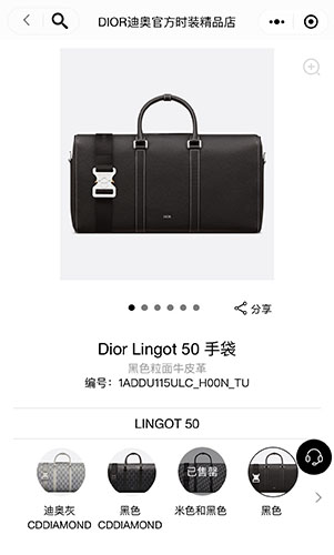 DIOR LINGOT 50 男士旅行袋