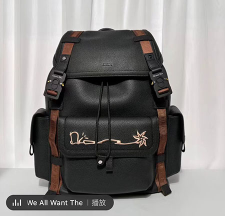 DIOR迪奥马鞍双肩包