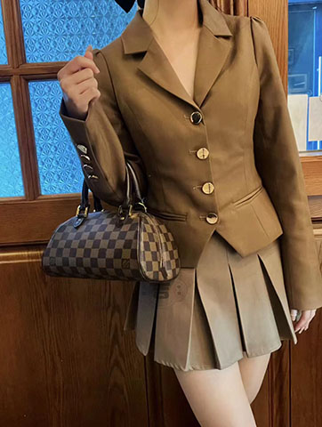 LV老花小元宝手提包