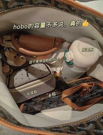 戈雅hobo腋下包拉链tote