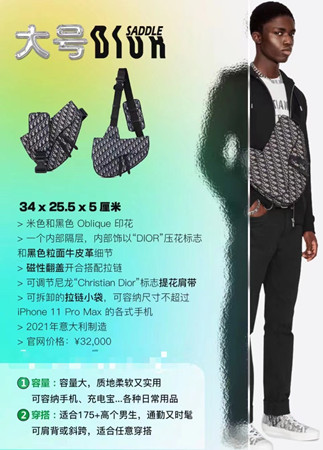 dior迪奥男士马鞍包尺寸