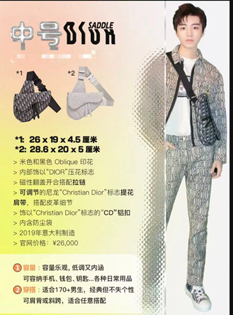 dior迪奥男士马鞍包尺寸
