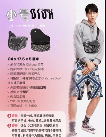 dior迪奥男士马鞍包尺寸
