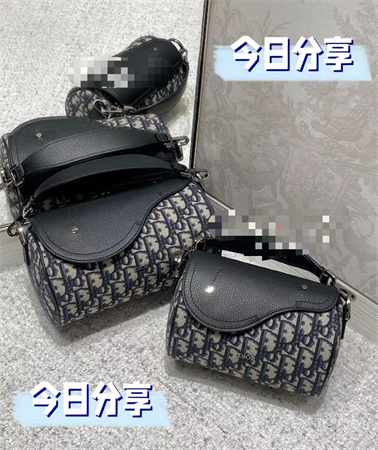 迪奥roller信使包男款斜挎真皮小包图片