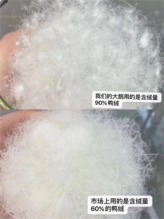 复刻大鹅羽绒服