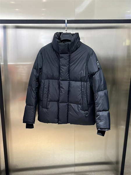 大鹅胶囊白标羽绒服