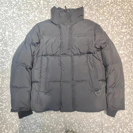大鹅胶囊白标羽绒服