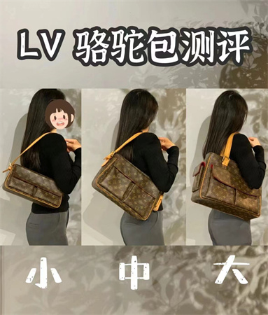 Lv Vibe骆驼包