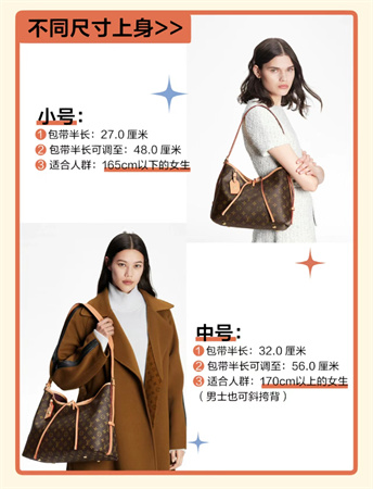 lv 老花Carryall小号