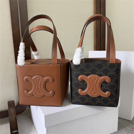 复古迷你Celine赛琳Cube立方体包 美貌击中这个秋天