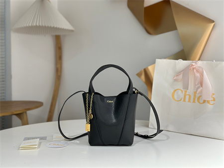 为啥女明星都偏爱蔻依水桶托特包Chloe Spin Bag